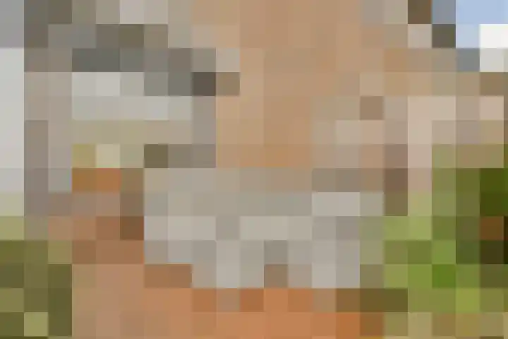 Luchtenborg 8 Hendrik-Ido-Ambacht thumbnail 20