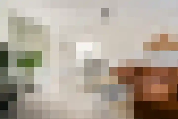 Luchtenborg 8 Hendrik-Ido-Ambacht thumbnail 6
