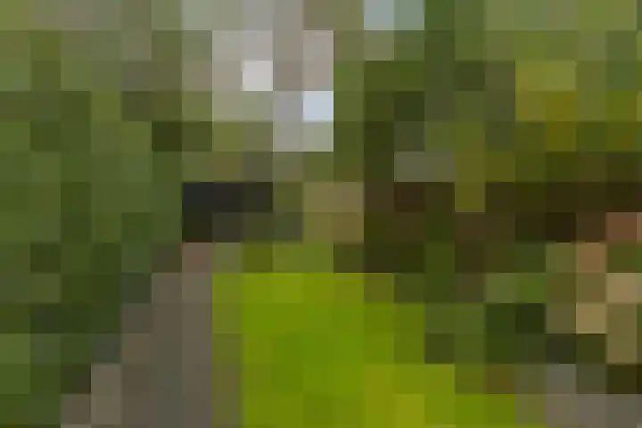 Luchtenburg 11 Dordrecht thumbnail 31