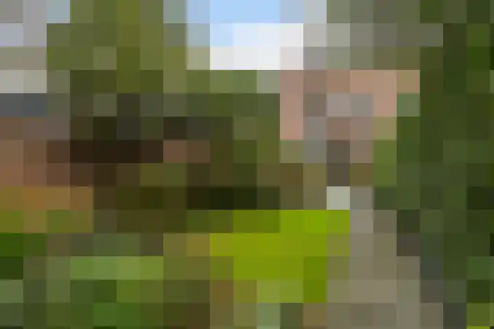 Luchtenburg 11 Dordrecht thumbnail 34