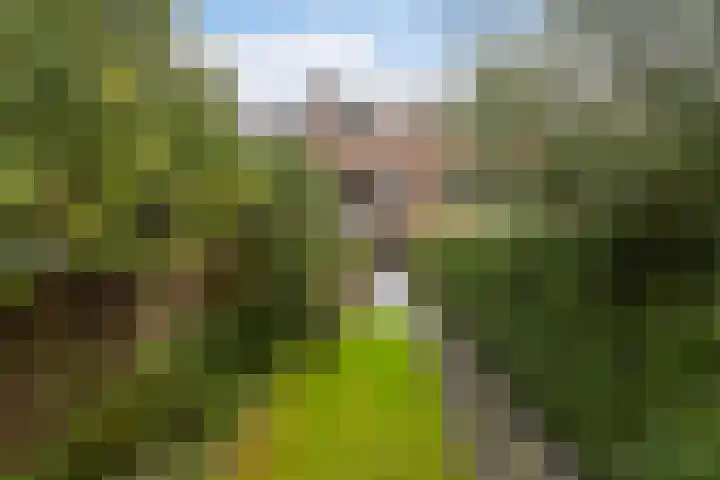 Luchtenburg 11 Dordrecht thumbnail 37