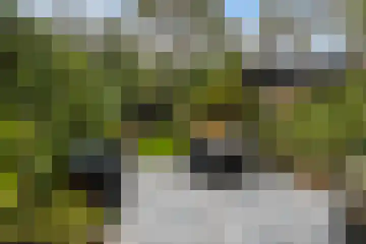 Luchtenburg 11 Dordrecht thumbnail 5