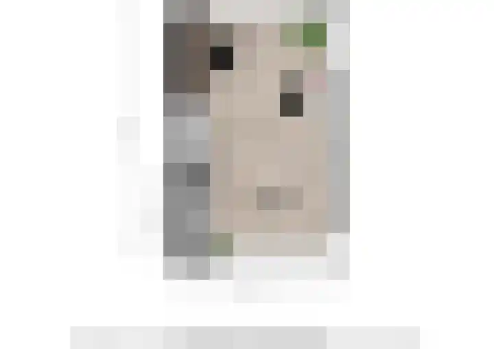 Luchtenburg 13 Oss thumbnail 30