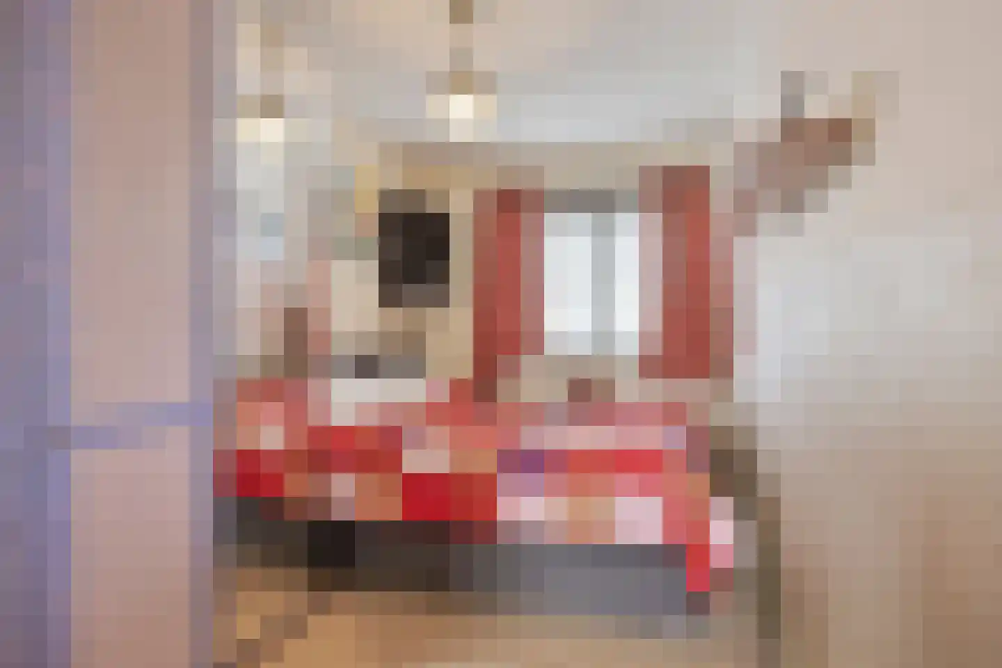 Luchtenburg 2 Oss thumbnail 42