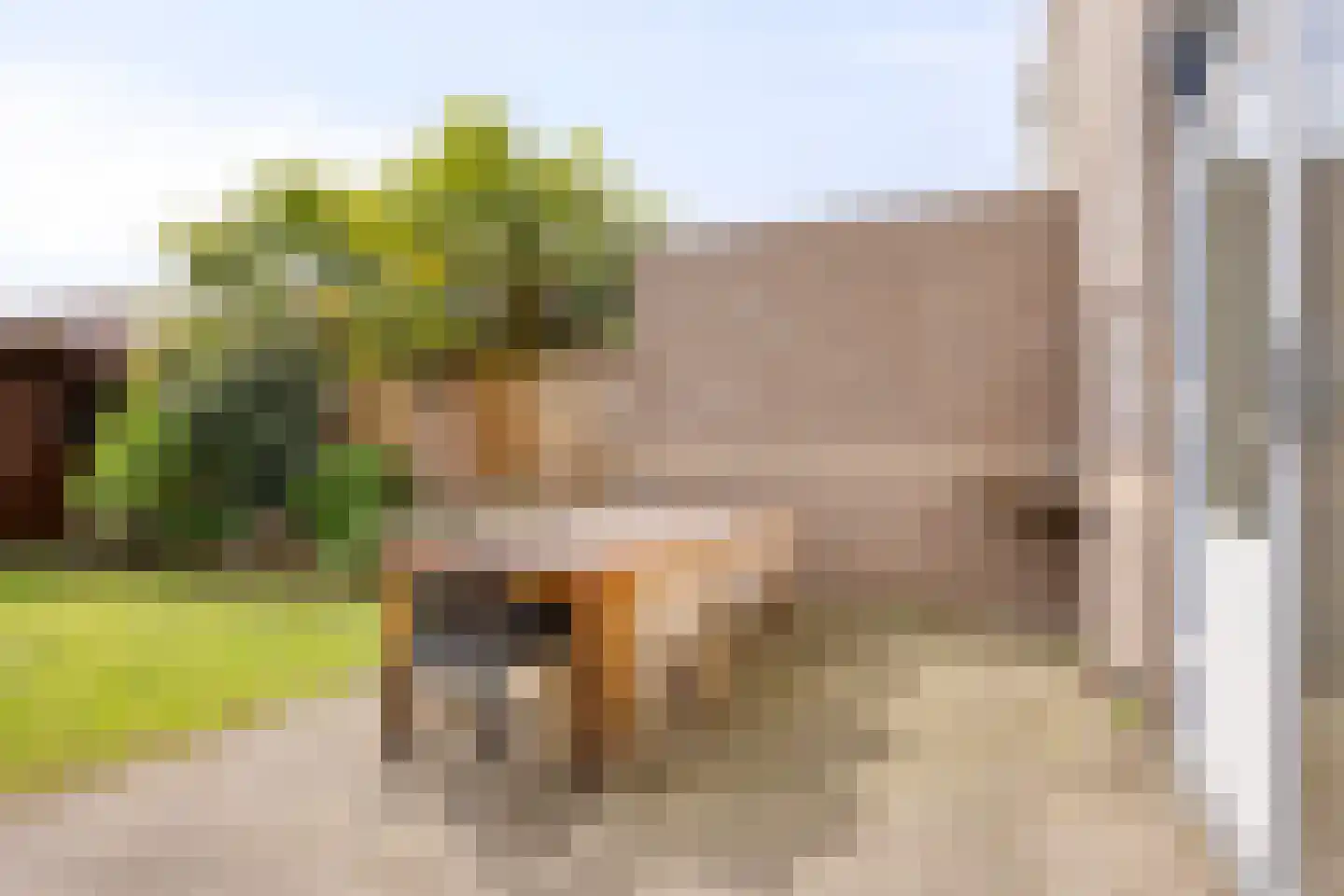 Luchtenburg 2 Oss thumbnail 44
