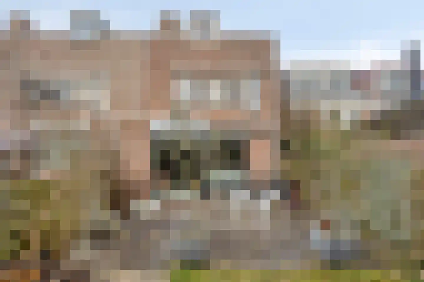 Luchtenburg 25 Dordrecht thumbnail 44
