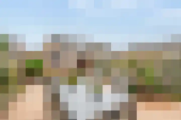 Luchtenburg 40 Zevenbergen thumbnail 31
