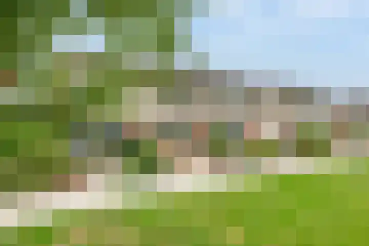 Luchtenburg 40 Zevenbergen thumbnail 35