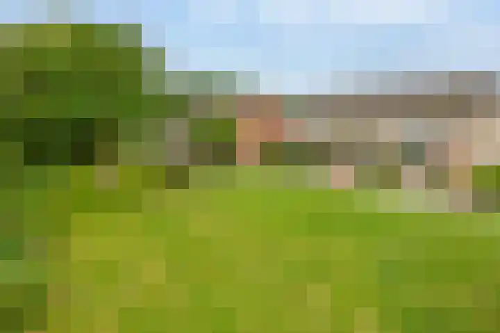 Luchtenburg 40 Zevenbergen thumbnail 36