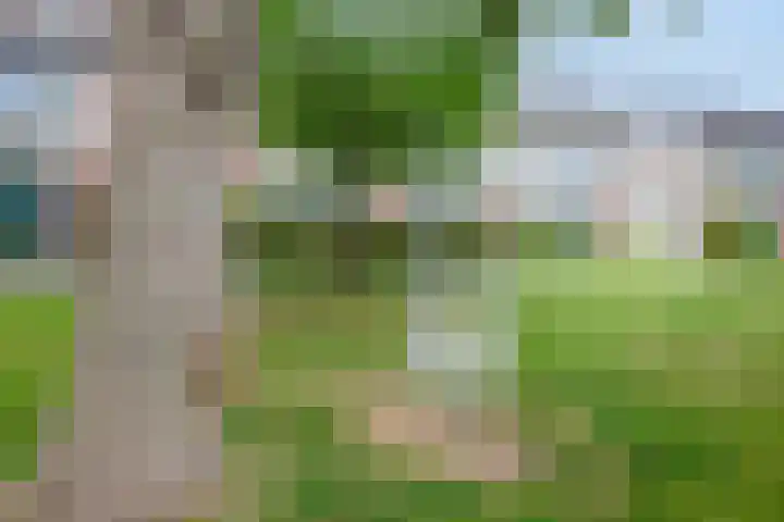 Luchtenburg 40 Zevenbergen thumbnail 38