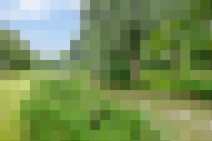 Luchtenburg 40 Zevenbergen thumbnail 39