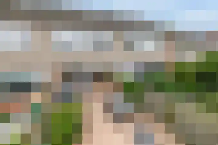 Luchtenburg 40 Zevenbergen thumbnail 4