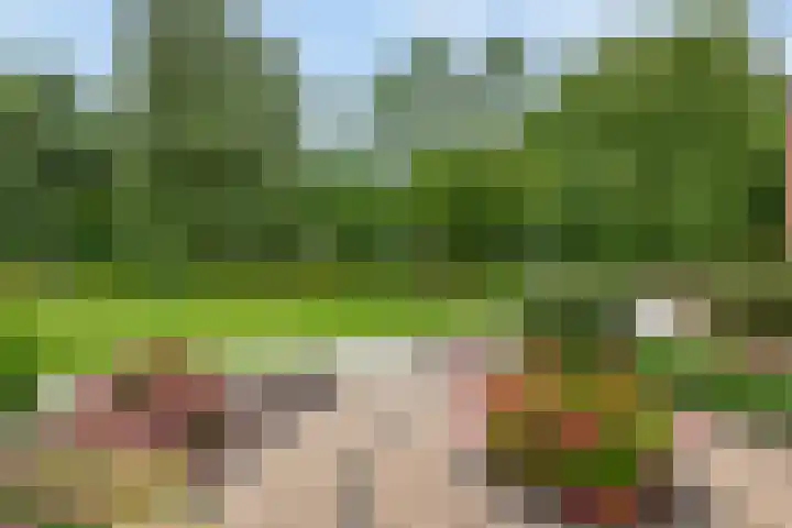 Luchtenburg 40 Zevenbergen thumbnail 6