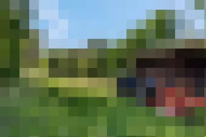 Luchtenburg 54 Ingen thumbnail 14