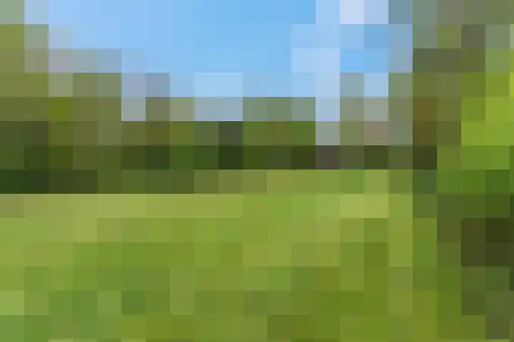 Luchtenburg 54 Ingen thumbnail 15