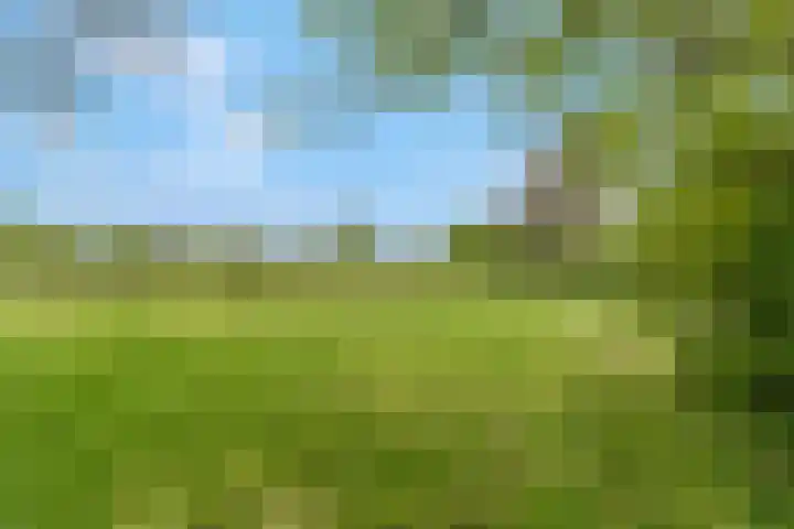 Luchtenburg 54 Ingen thumbnail 16