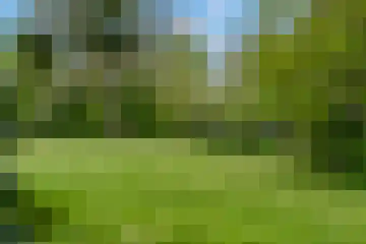 Luchtenburg 54 Ingen thumbnail 17