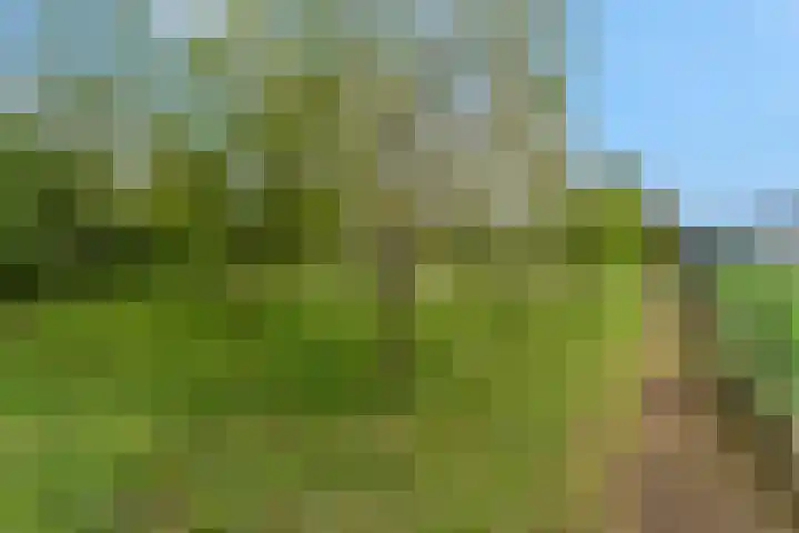 Luchtenburg 54 Ingen thumbnail 18