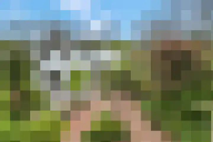 Luchtenburg 54 Ingen thumbnail 19