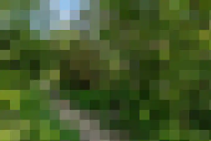 Luchtenburg 54 Ingen thumbnail 25