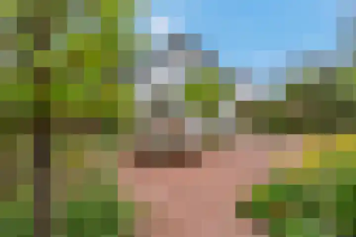 Luchtenburg 54 Ingen thumbnail 38