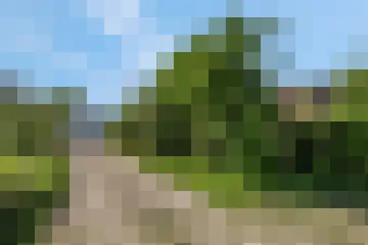 Luchtenburg 54 Ingen thumbnail 4