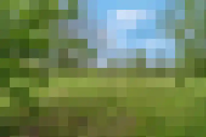 Luchtenburg 54 Ingen thumbnail 40
