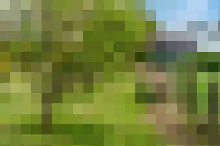 Luchtenburg 54 Ingen thumbnail 41