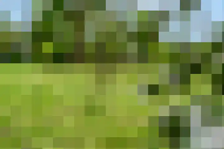 Luchtenburg 54 Ingen thumbnail 42