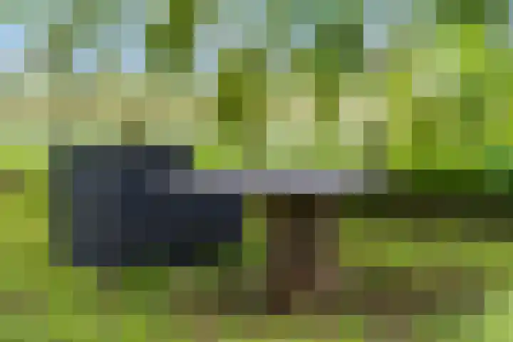 Luchtenburg 54 Ingen thumbnail 43