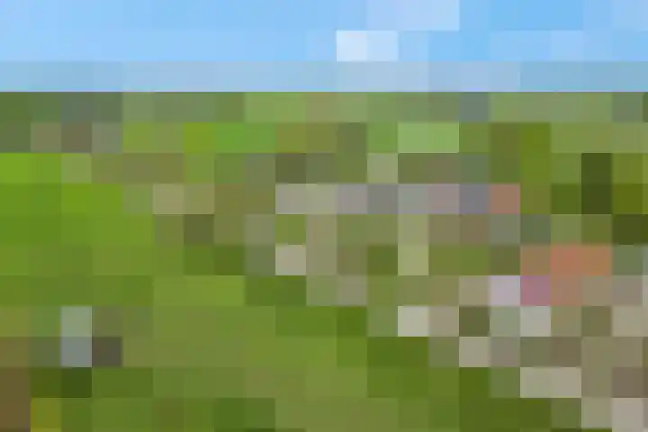 Luchtenburg 54 Ingen thumbnail 44