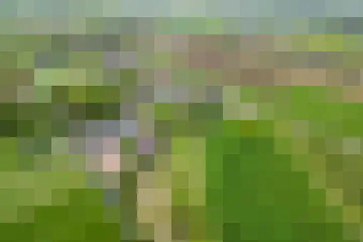 Luchtenburg 54 Ingen thumbnail 45