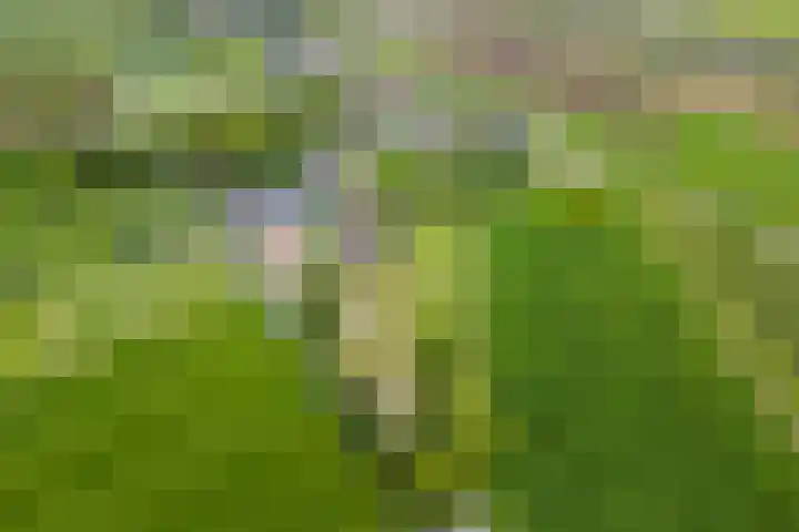 Luchtenburg 54 Ingen thumbnail 46