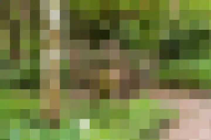 Luchtenburg 54 Ingen thumbnail 47