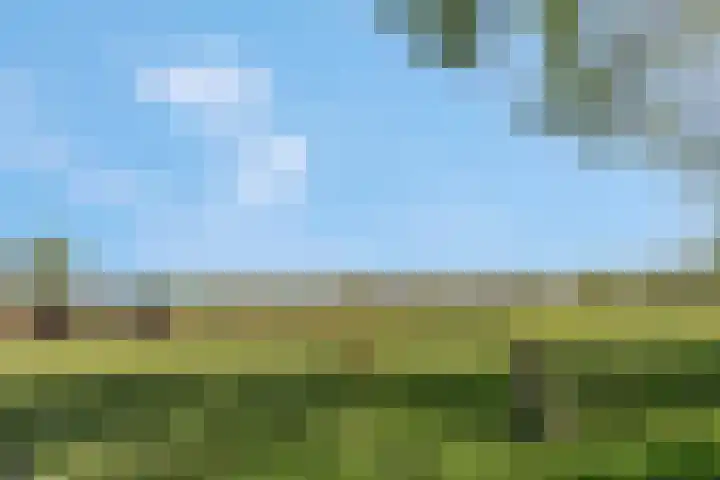Luchtenburg 54 Ingen thumbnail 53