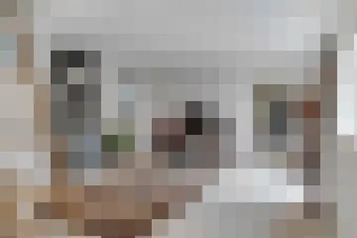 Luchtenburg 54 Ingen thumbnail 7