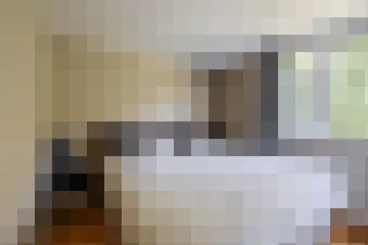Luchtenburg 54 Zevenbergen thumbnail 22