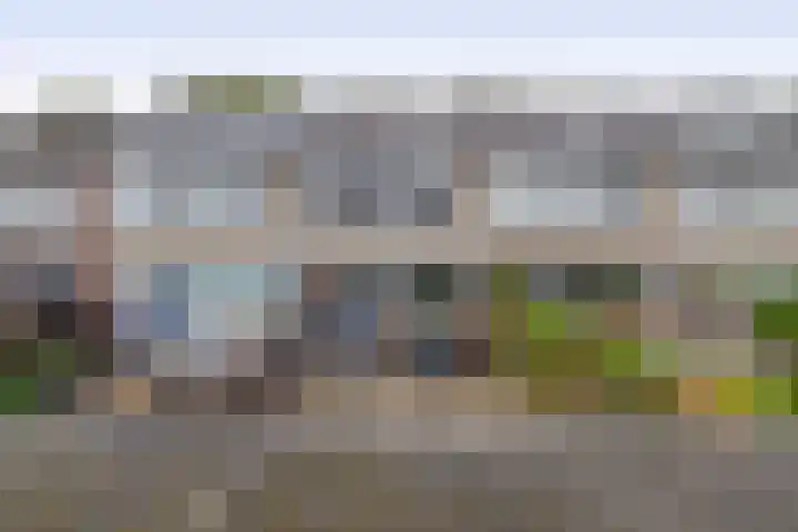 Luchtenburg 54 Zevenbergen thumbnail 41