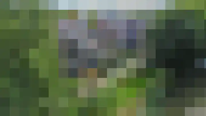 Luchtenburg 54 Zevenbergen thumbnail 43