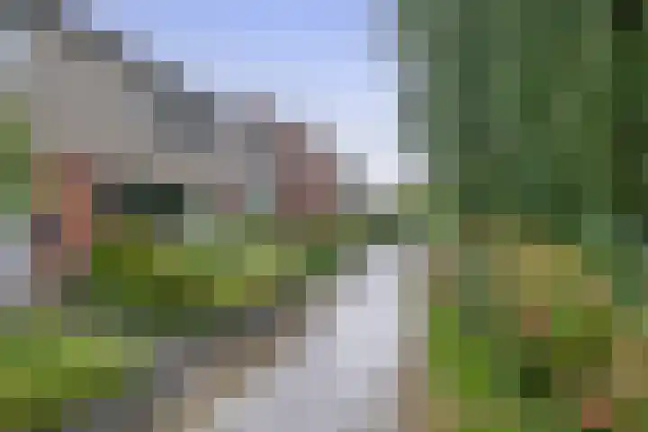 Luchtenburg 54 Zevenbergen thumbnail 6