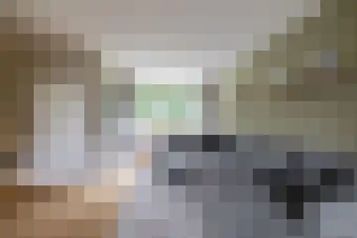 Luchtenburg 54 Zevenbergen thumbnail 9