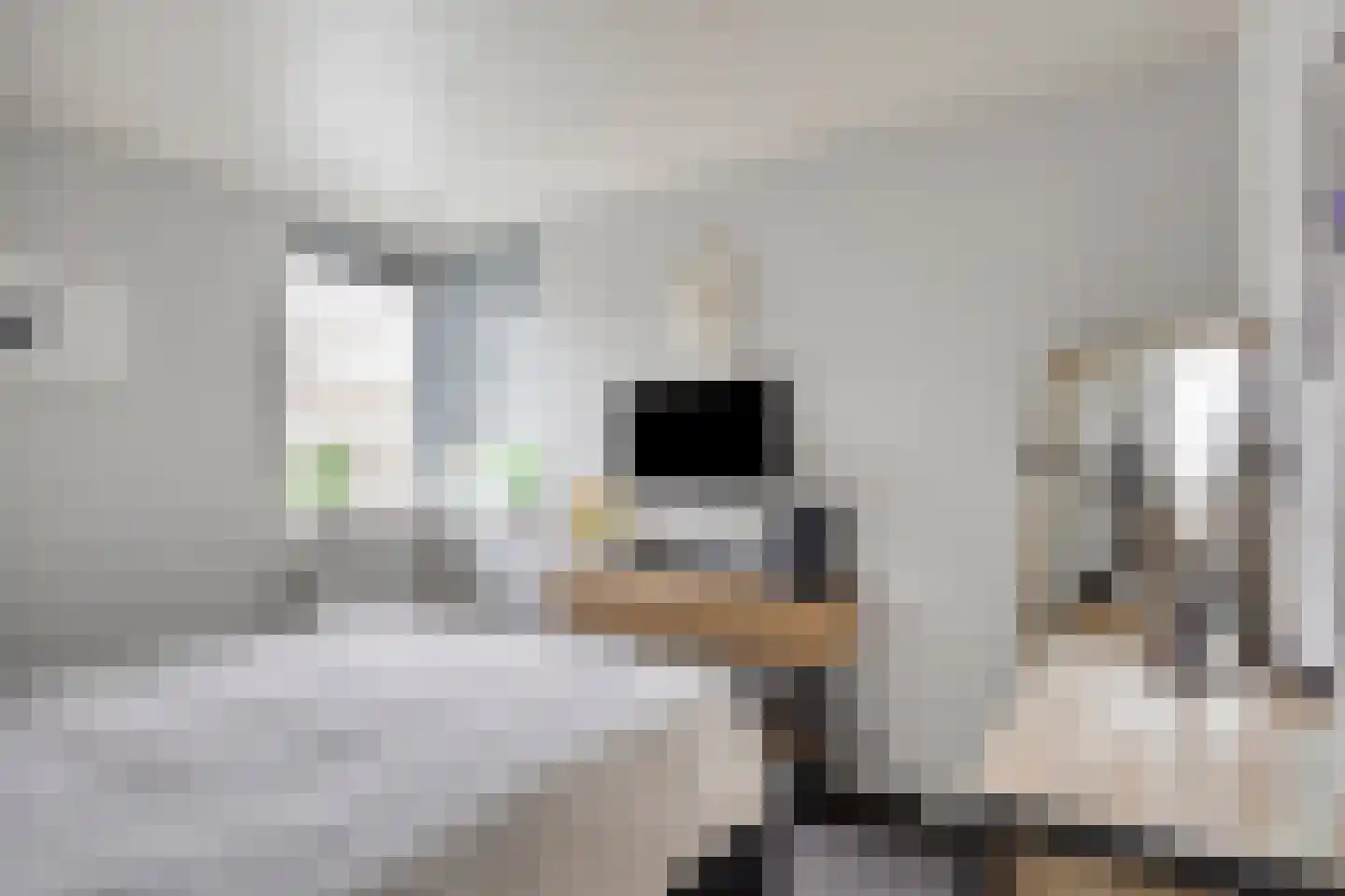 Luchtenburg 7 Oss thumbnail 17