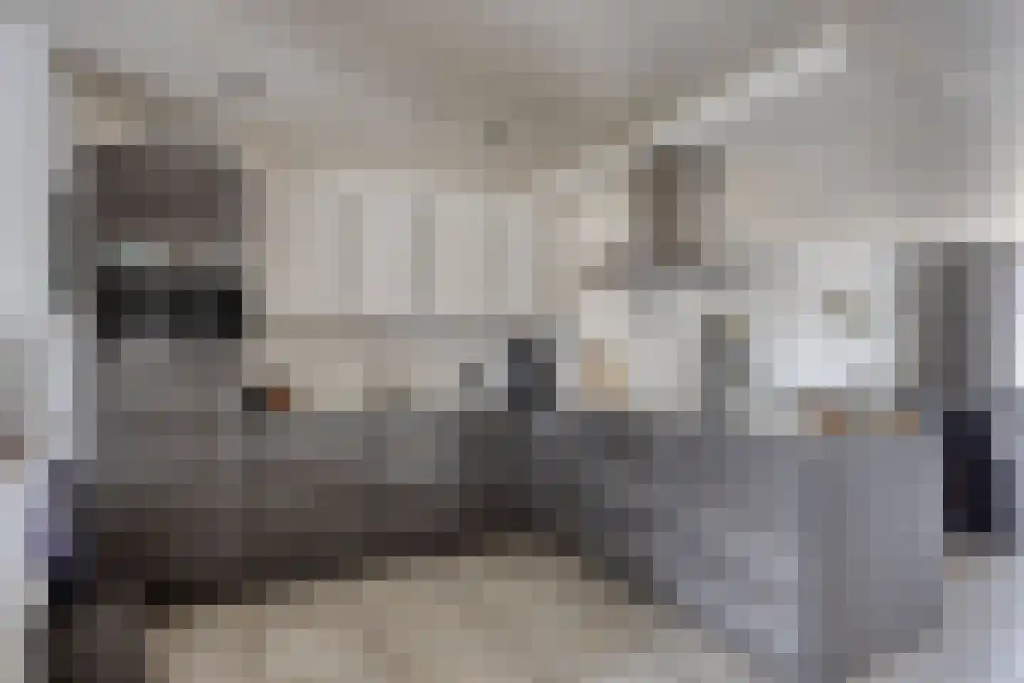 Luchtenburg 7 Oss thumbnail 8