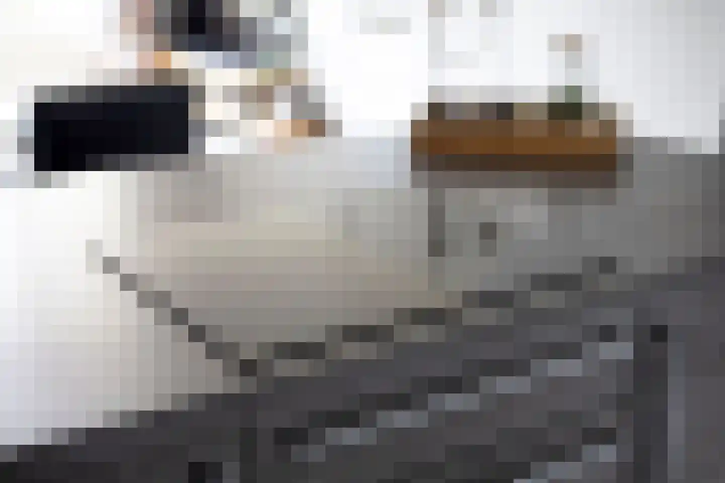Luchtenburg 7 Oss thumbnail 9