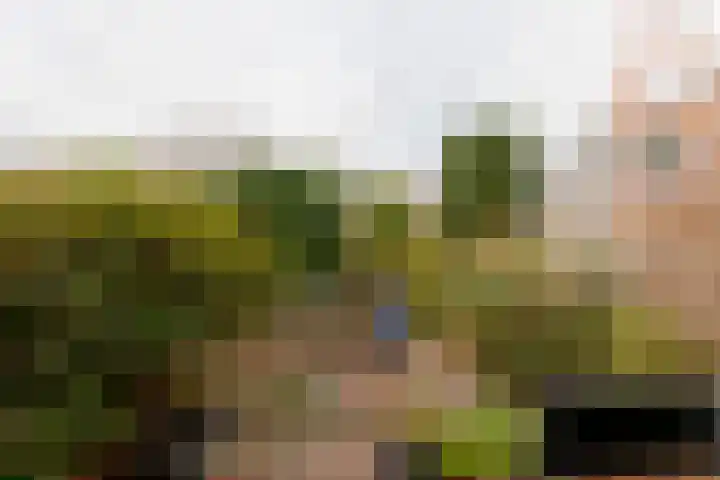 Luchtenburg 85 Dordrecht thumbnail 31