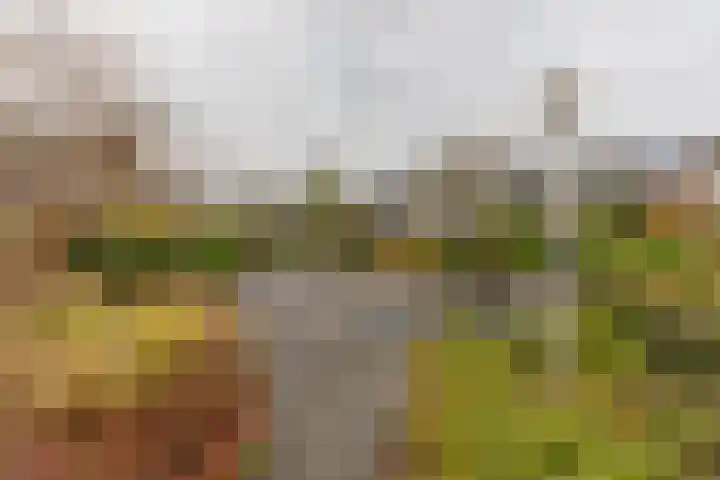 Luchtenburg 85 Dordrecht thumbnail 32