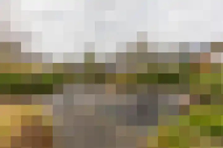Luchtenburg 85 Dordrecht thumbnail 33