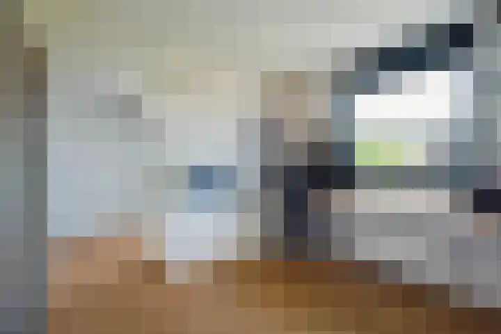 Luchtenburglaan 52 Den Haag thumbnail 32