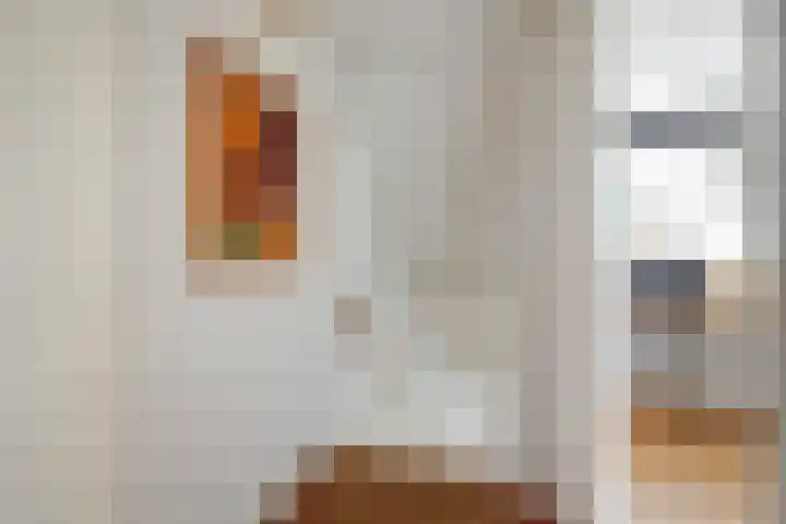 Luchtenburglaan 52 Den Haag thumbnail 37