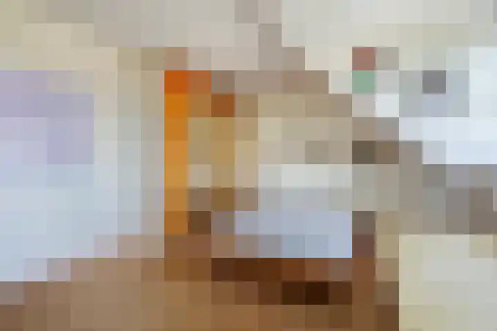 Luchtenburglaan 52 Den Haag thumbnail 41